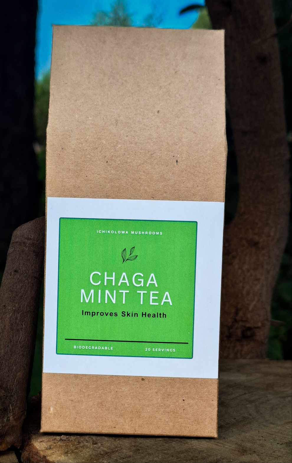 Chaga & Mint Tea