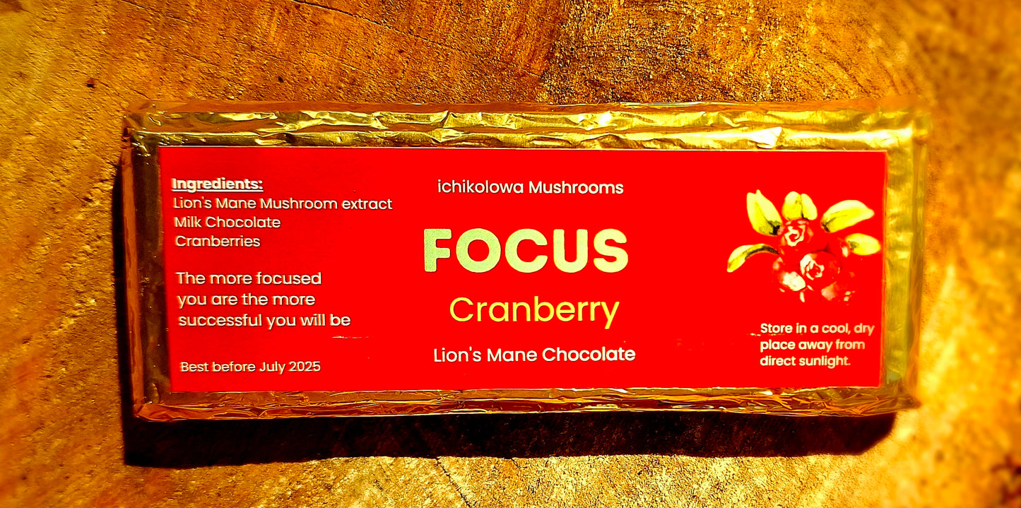 Focus ~ Cranberry chocolate bar
