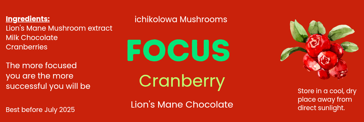 Focus ~ Cranberry chocolate bar
