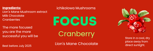 Focus ~ Cranberry chocolate bar