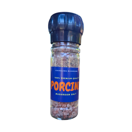 Porcini mushroom salt