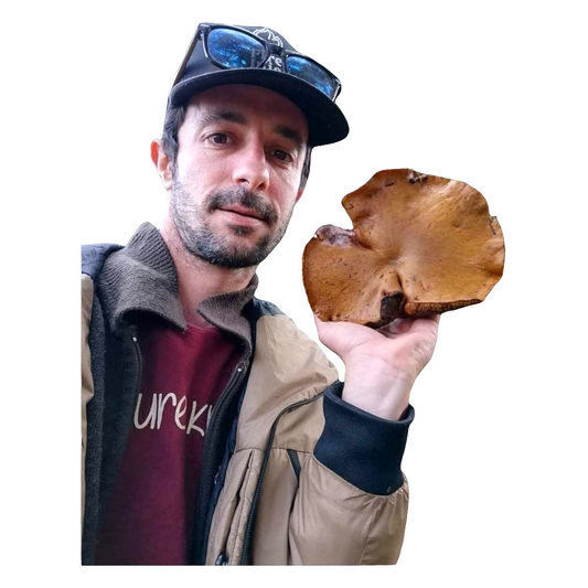 Mushroom foraging tour vouchers