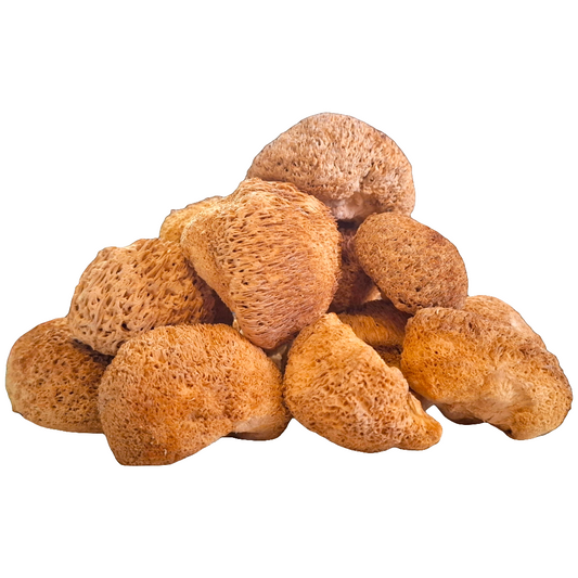 Lion's mane (Fruiting body - whole dried)
