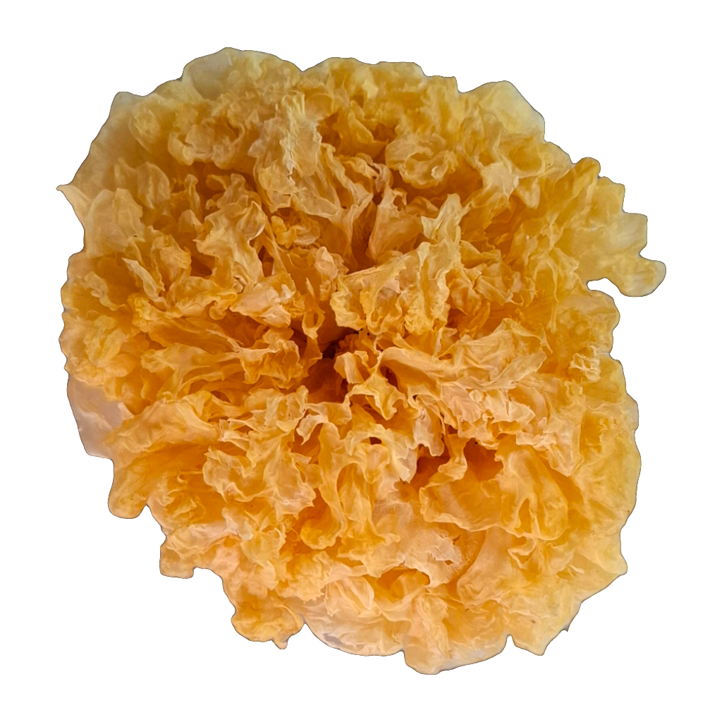 Tremella (whole dried)