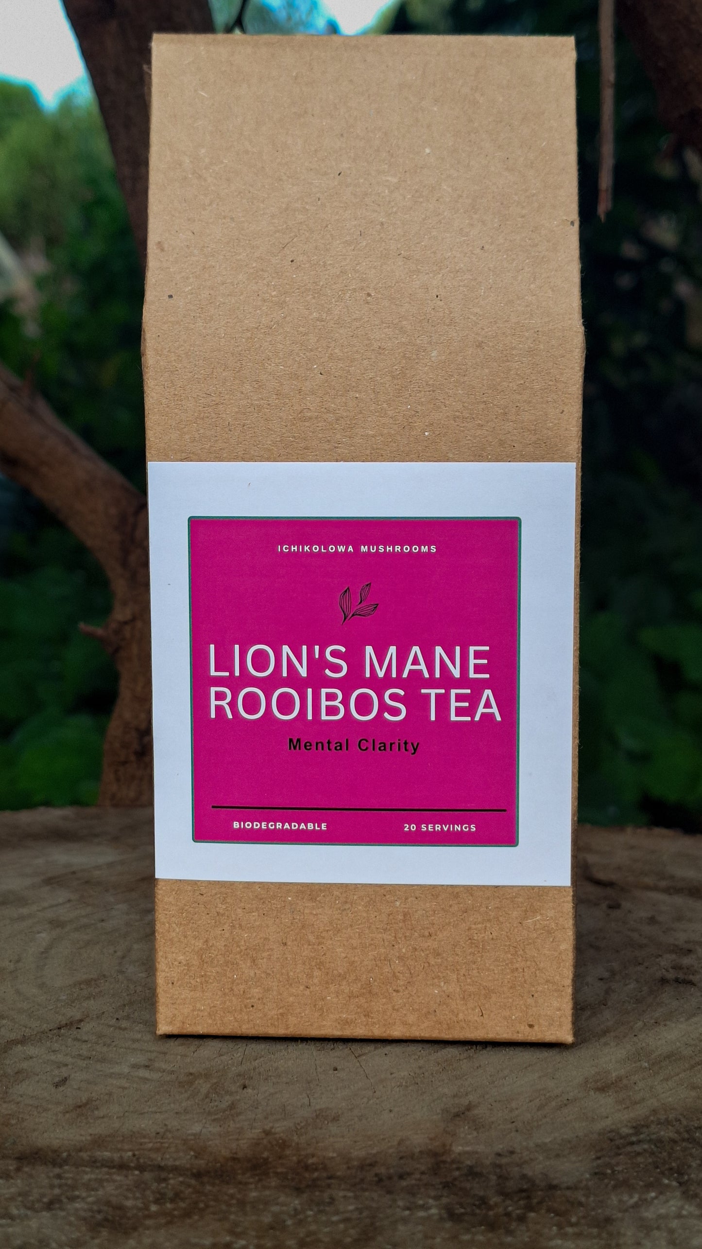 Lion's mane & Rooibos Tea